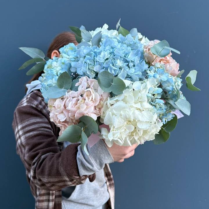 Гортензии в коробочке в Красноярске