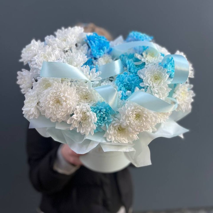 Хризнтемы в боксе в Красноярске