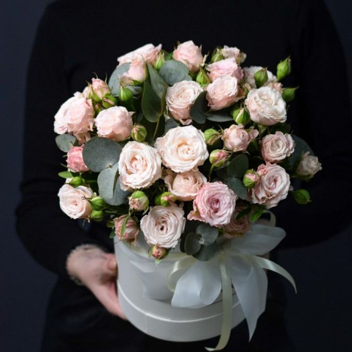 Бомбастик бокс №2 в Красноярске