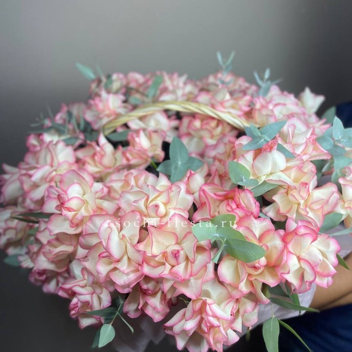 51 джумилия  в корзине   в Красноярске