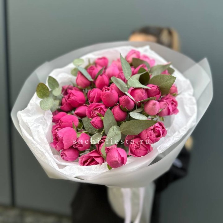 17 Мисти бабблс в Красноярске