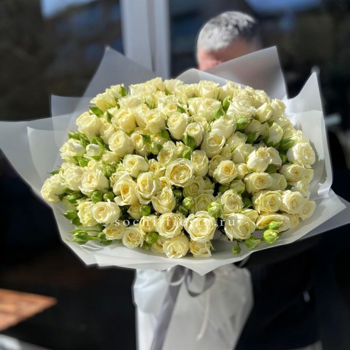 Белые кустовые розы 31 шт в Красноярске