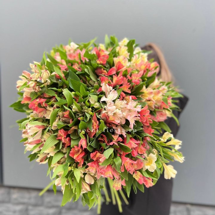 51 альстромерия в Красноярске