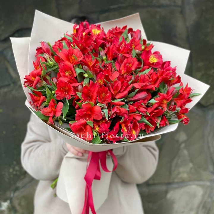 51 альстромерия в Красноярске