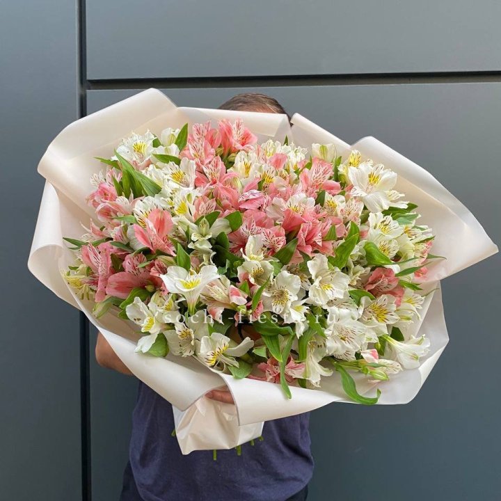 39 альстромерий в Красноярске