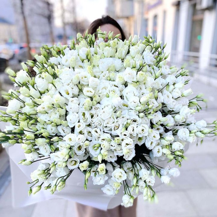 101 белая эустома в Красноярске