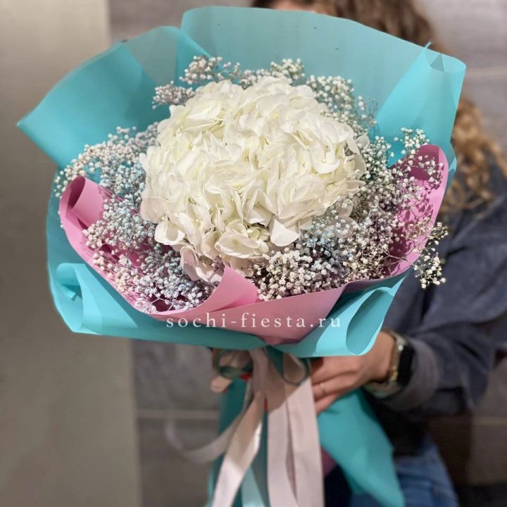 Гортензия "Райдов" в Красноярске