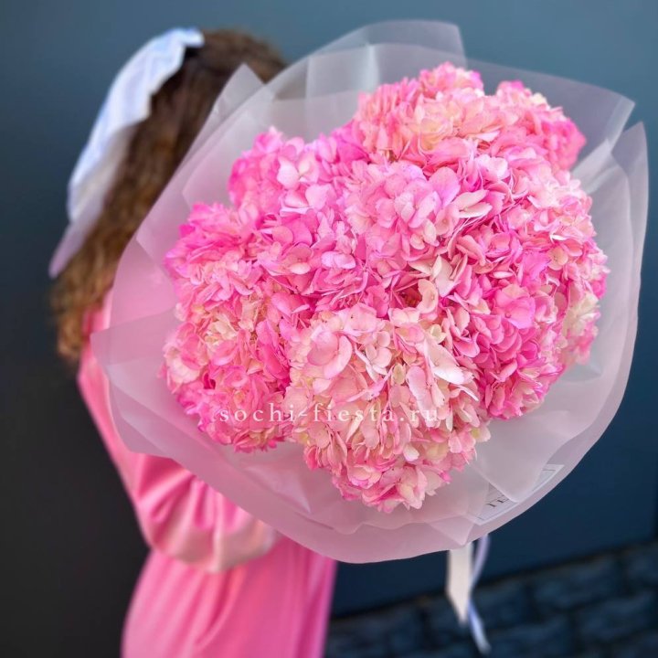 7 ярко розовых гортензий в Красноярске