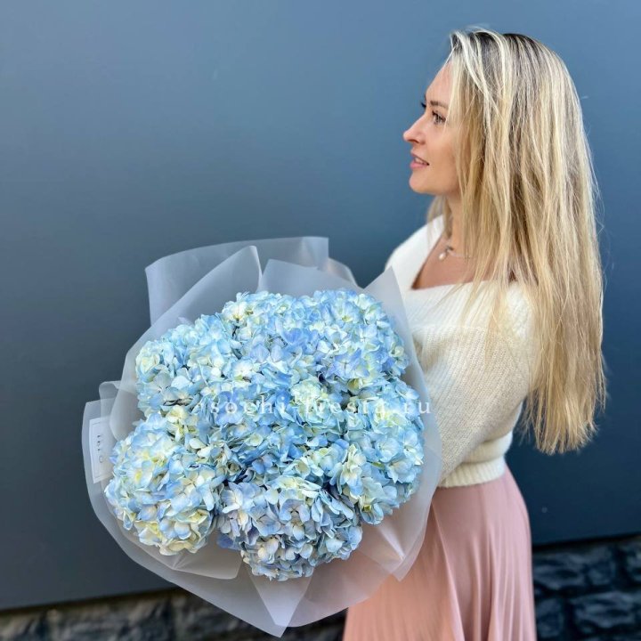 7 голубых гортензий в Красноярске