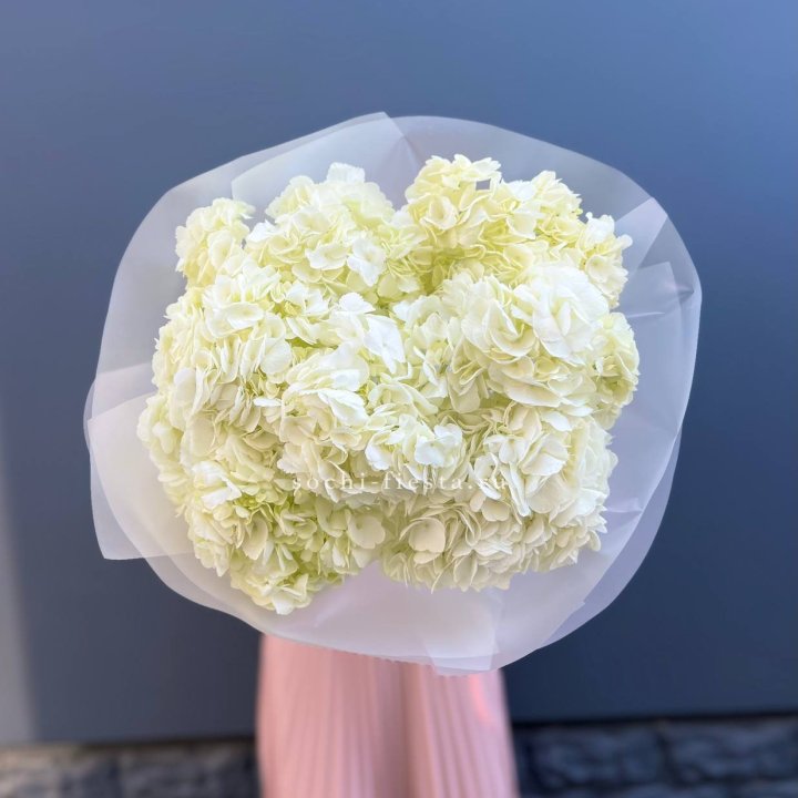 7 белых гортензий в Красноярске