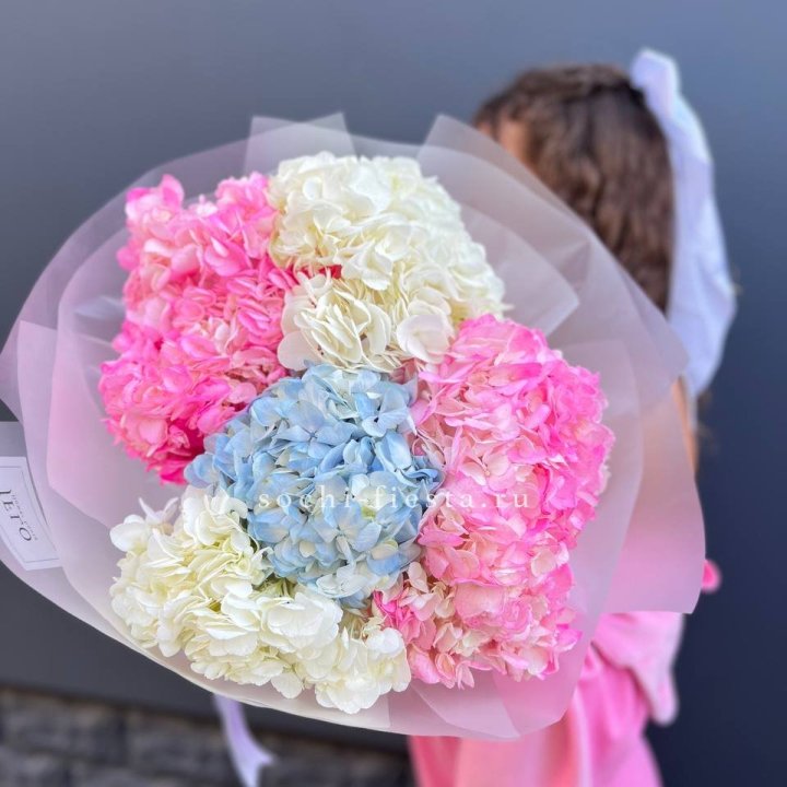 7 гортензий микс в Красноярске