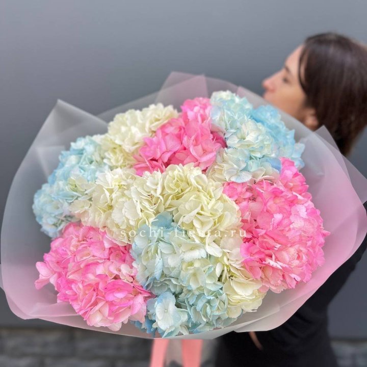 9 гортензий микс в Красноярске