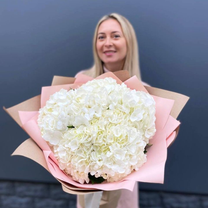 Гортензия белая в Красноярске