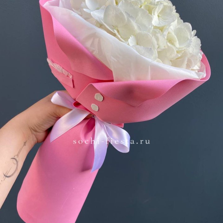 Гортензия в розовом пиджаке в Красноярске