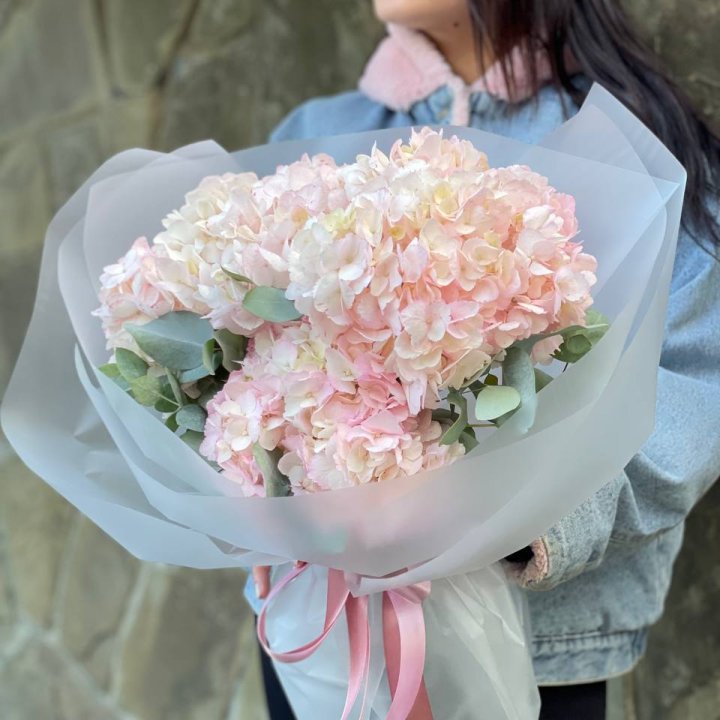 5 розовых гортензий в Красноярске