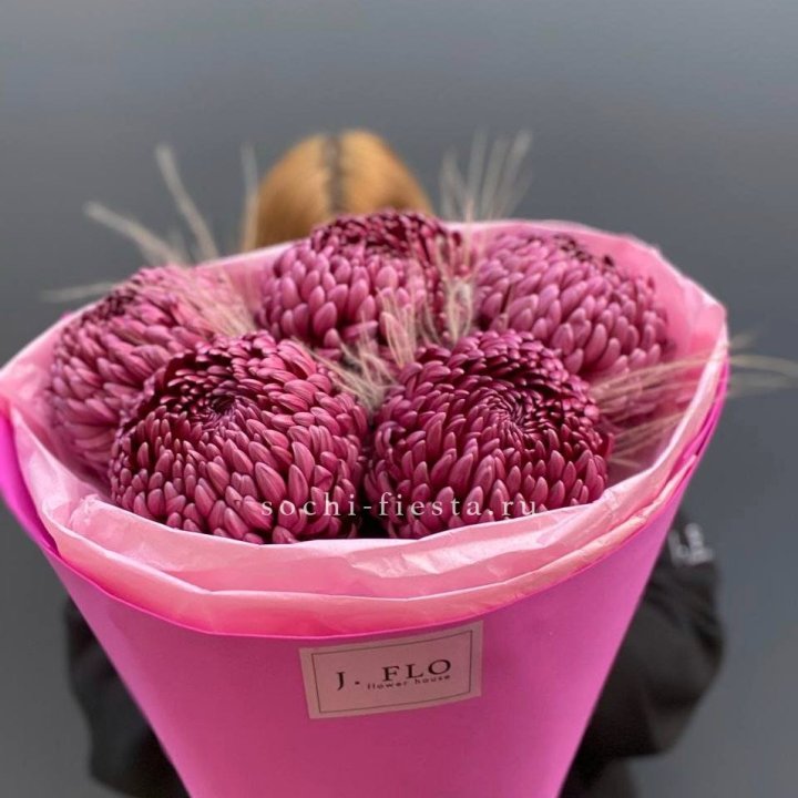 Хризантемы  Бигуди с стифой в Красноярске