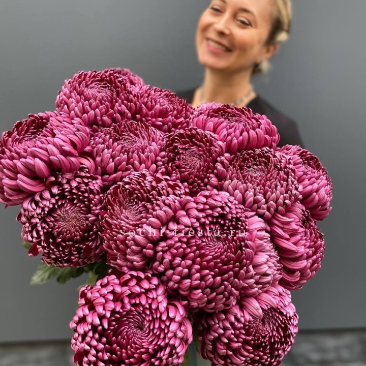 Охапка хризантем Бигуди в Красноярске