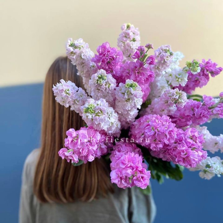 Охапка маттиолы в Красноярске