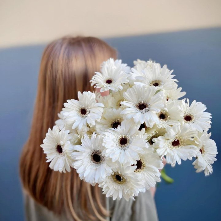 Охапка гербер в Красноярске