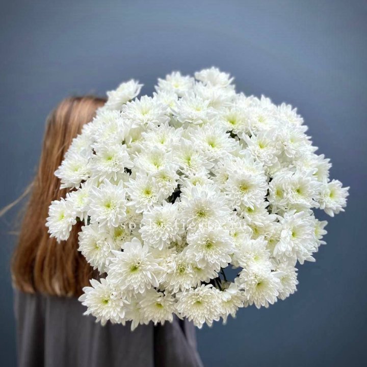 Охапка Хризантемы кустовой в Красноярске