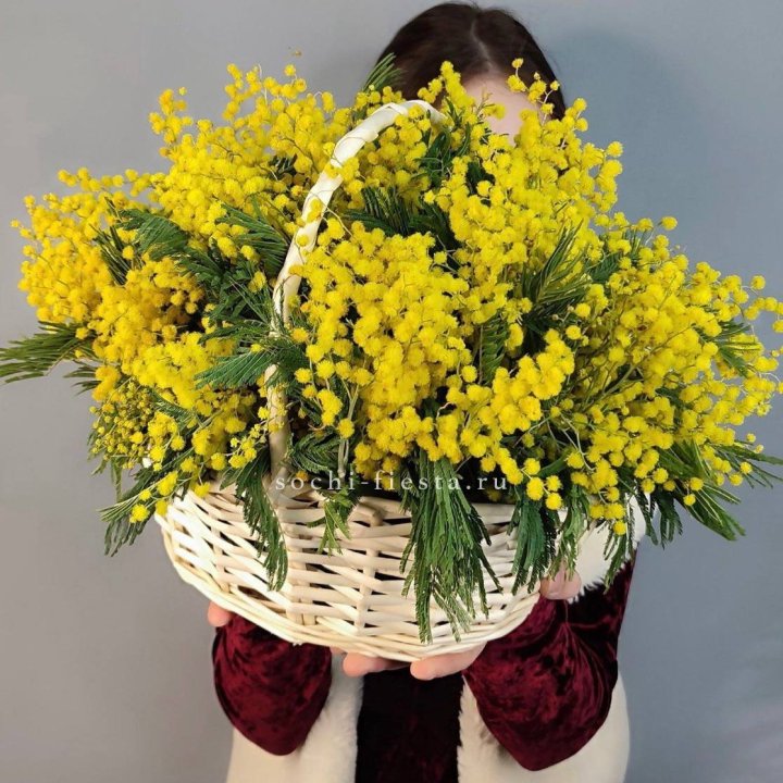Корзина ароматной мимозы в Красноярске