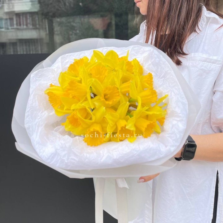 Нарциссы 25 шт в Красноярске