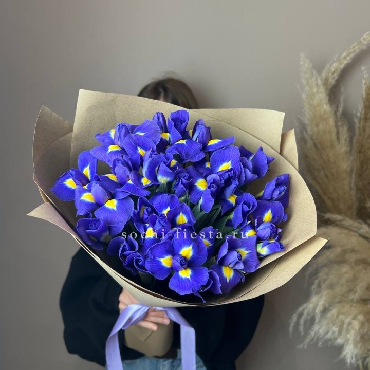 Ирисы в Красноярске