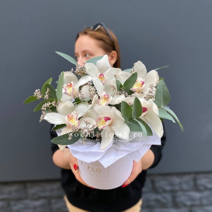 7 орхидей в боксе в Красноярске