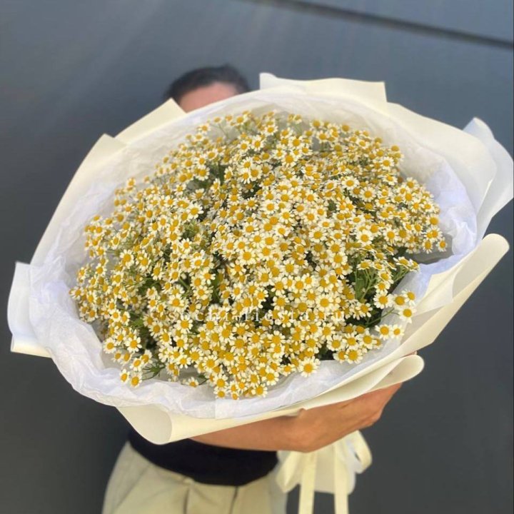 Букет ромашек №2 в Красноярске