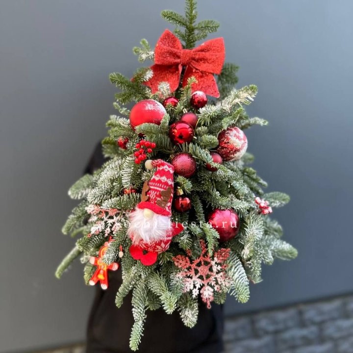 Новогодняя елочка "Ред" в Красноярске