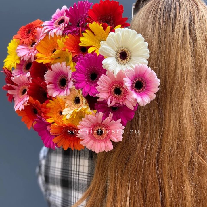 Охапка гербер  в Красноярске