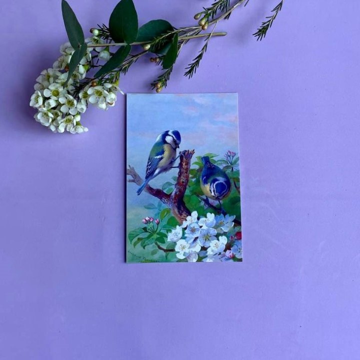 Открытка к букету "Птицы" в Красноярске