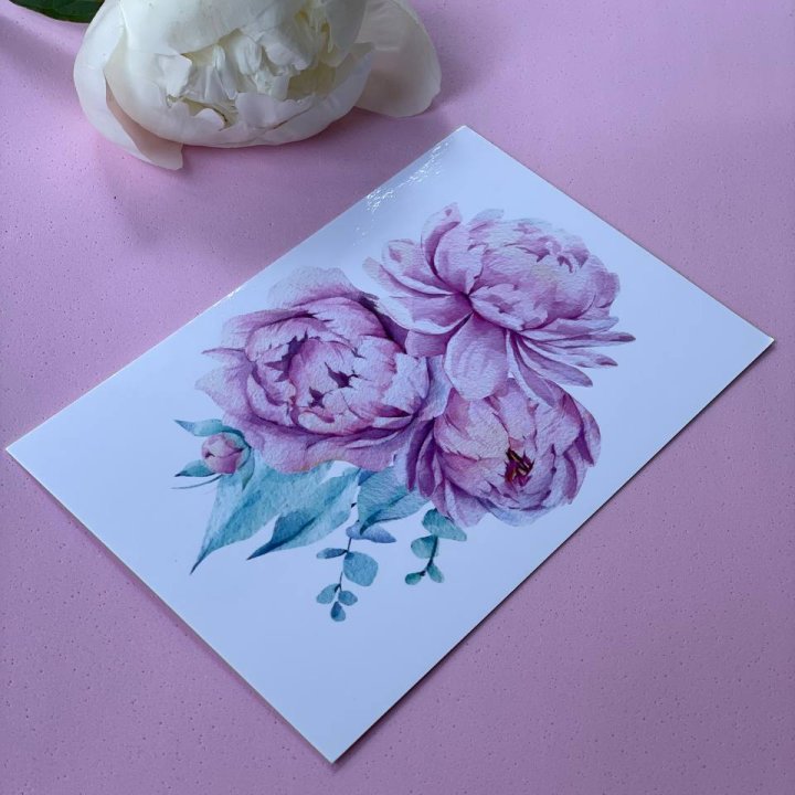 Открытка к букету "Пионы" в Красноярске