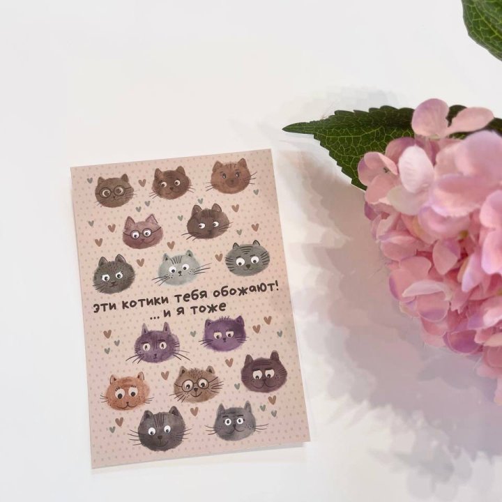 Открытка к букету "Котики" в Красноярске