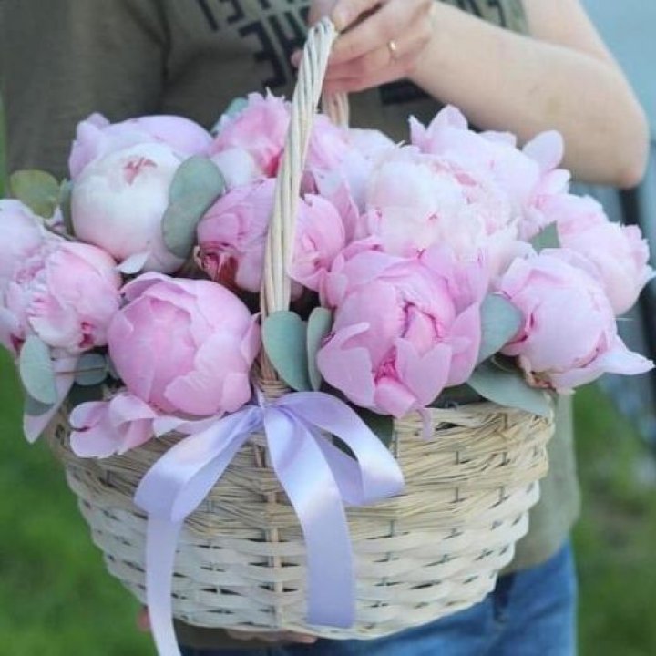 15 пионов в корзине в Красноярске