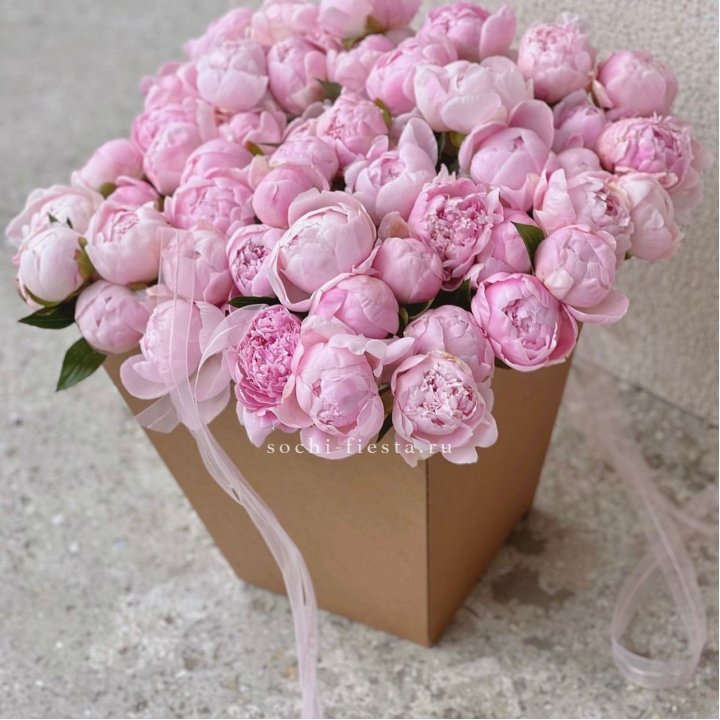 49 пионов в крафт коробке в Красноярске