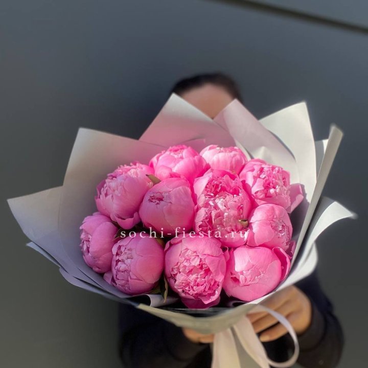 Пионы Алекс флеминг в Красноярске