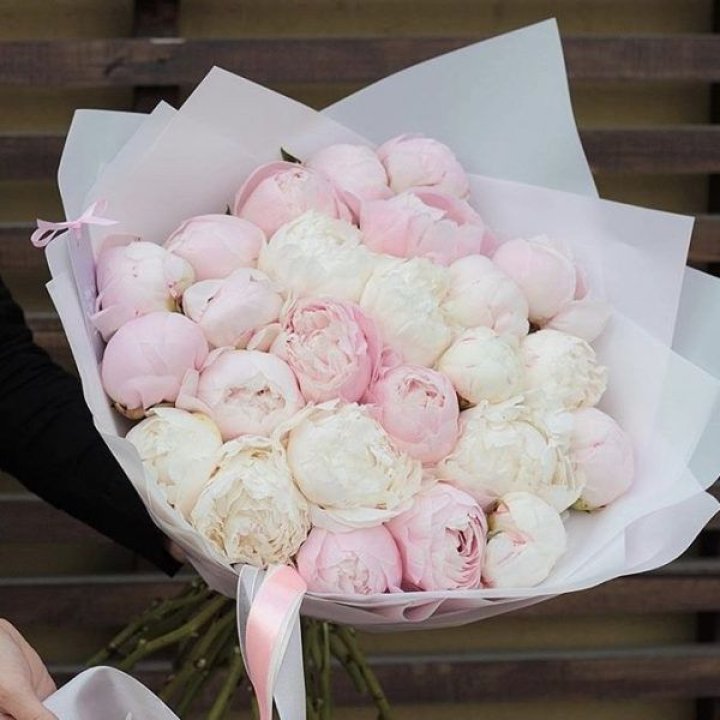 29 пионов в Красноярске