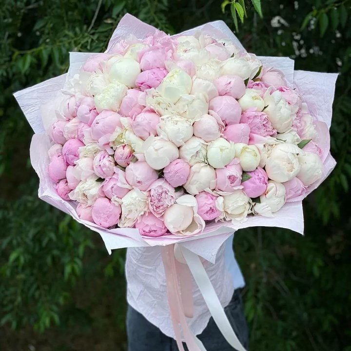 101 пион в Красноярске