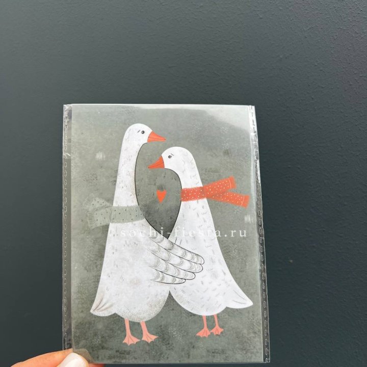 Открытка к букету "Гуси” в Красноярске