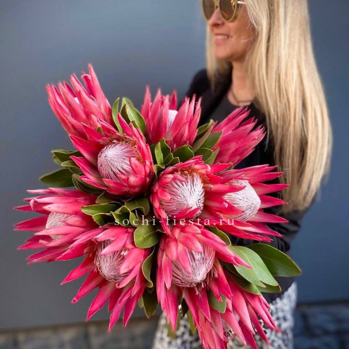 Протея штучно в Красноярске