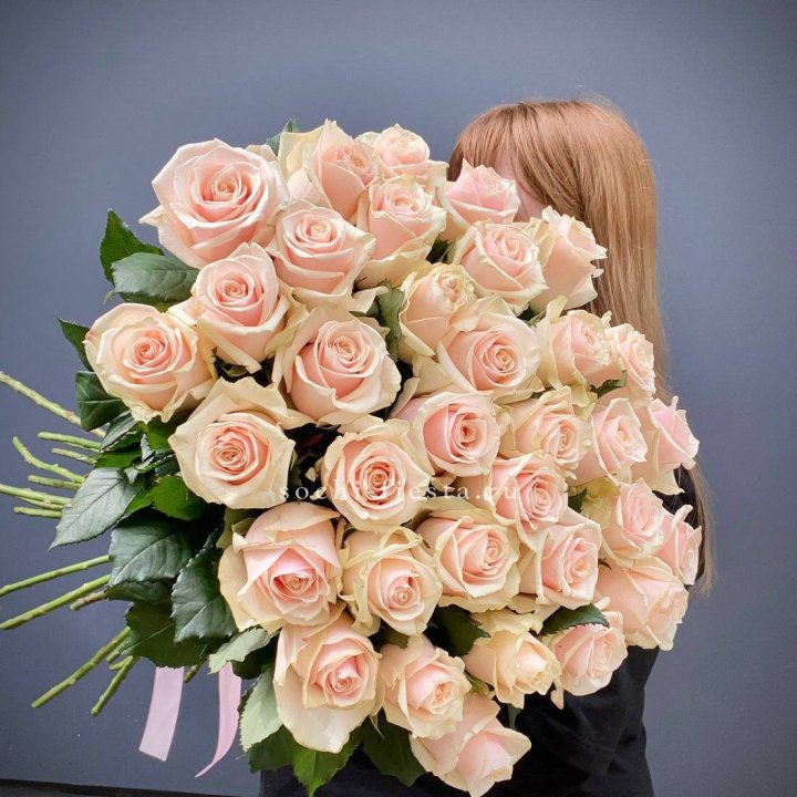 35 кремовых высоких роз в Красноярске