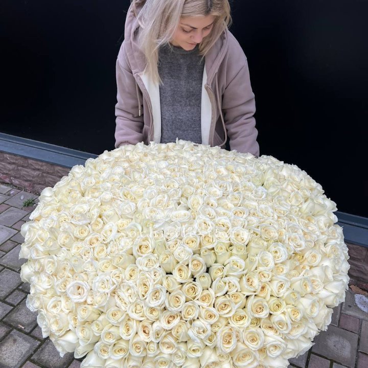 501 белая роза в корзине в Красноярске