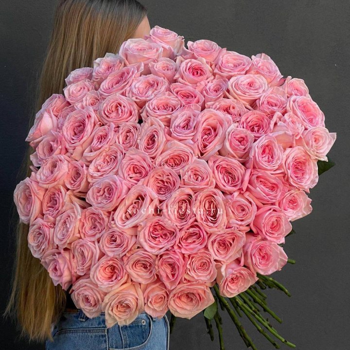 75 роз Охара в Красноярске