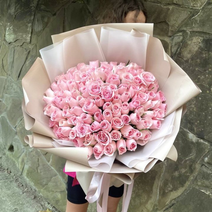 101 нежно-розовая роза Каролина  в Красноярске