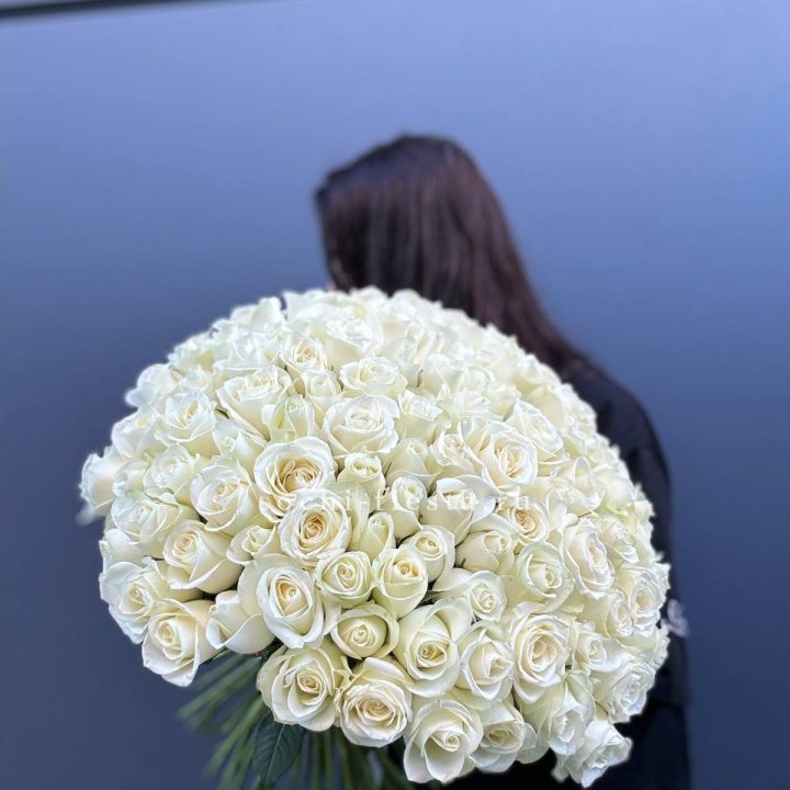Охапка из 101 белой розы  в Красноярске