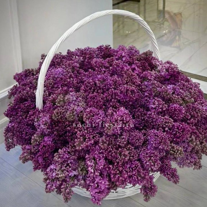 Корзина сирени в Красноярске