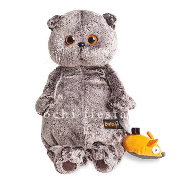 Кот Басик с мышкой в Красноярске