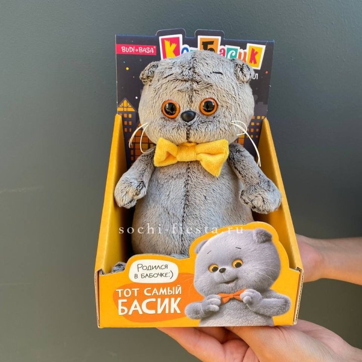 Кот Басик с бабочкой в Красноярске