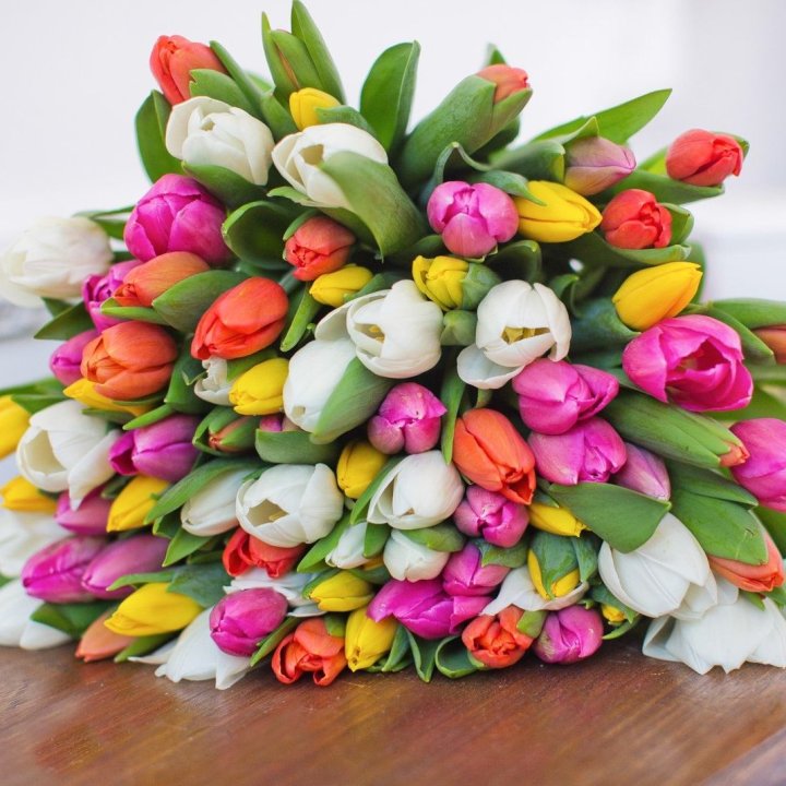 79 тюльпанов "Рандом" в Красноярске